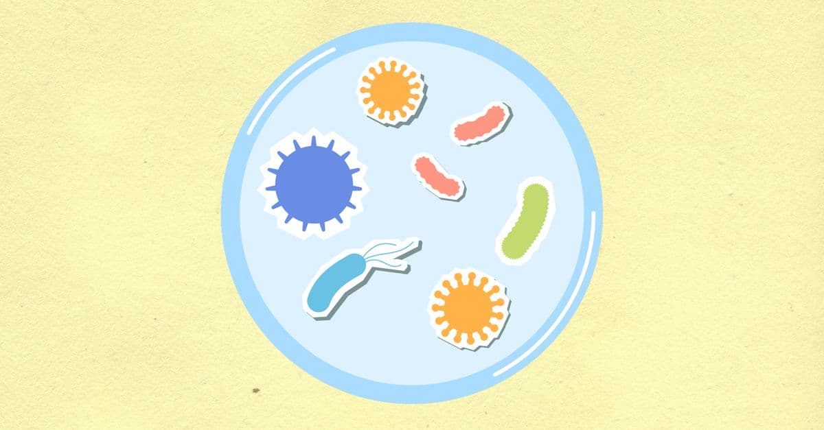 From above of decorative cardboard applique of round shaped cell with various microbes and viruses on yellow background